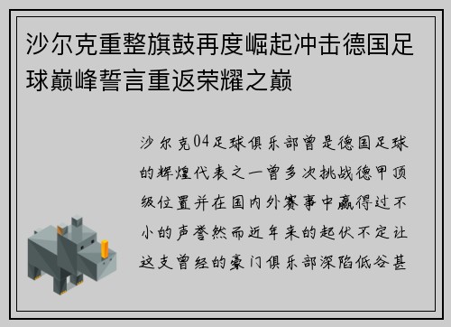沙尔克重整旗鼓再度崛起冲击德国足球巅峰誓言重返荣耀之巅