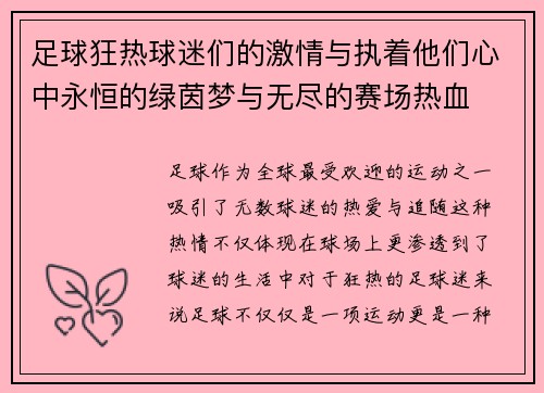 足球狂热球迷们的激情与执着他们心中永恒的绿茵梦与无尽的赛场热血
