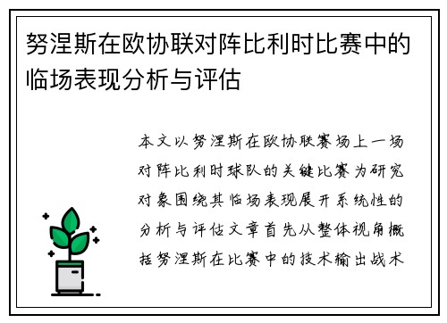 努涅斯在欧协联对阵比利时比赛中的临场表现分析与评估